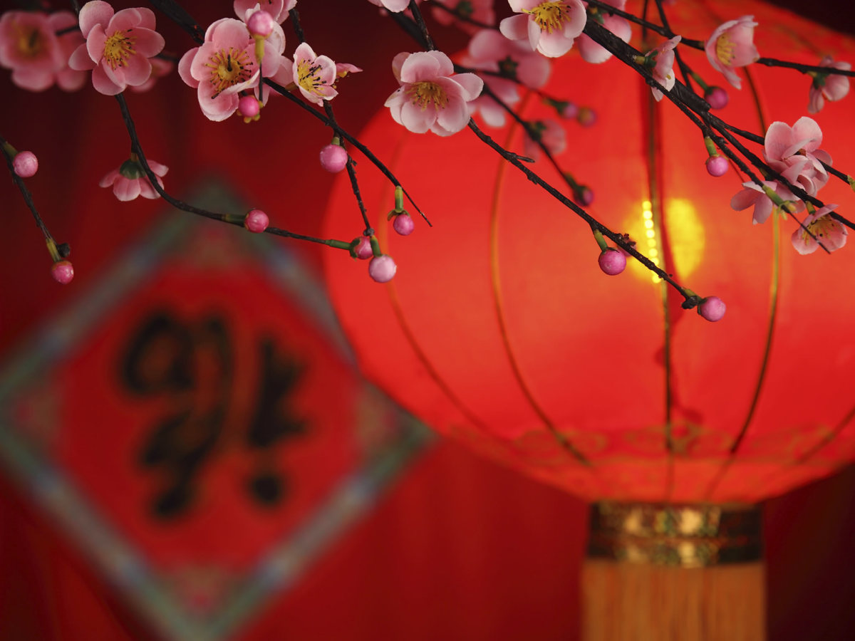 expatriados aproveitam o ano novo chinês em xiamen